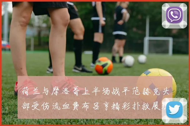 荷兰与摩洛哥上半场战平范赫克头部受伤流血费布吕亨精彩扑救展现实力