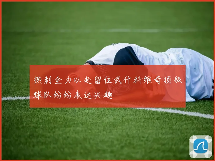 热刺全力以赴留住武什科维奇顶级球队纷纷表达兴趣