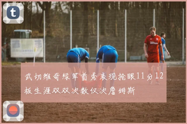 武切维奇绿军首秀表现抢眼11分12板生涯双双次数仅次詹姆斯